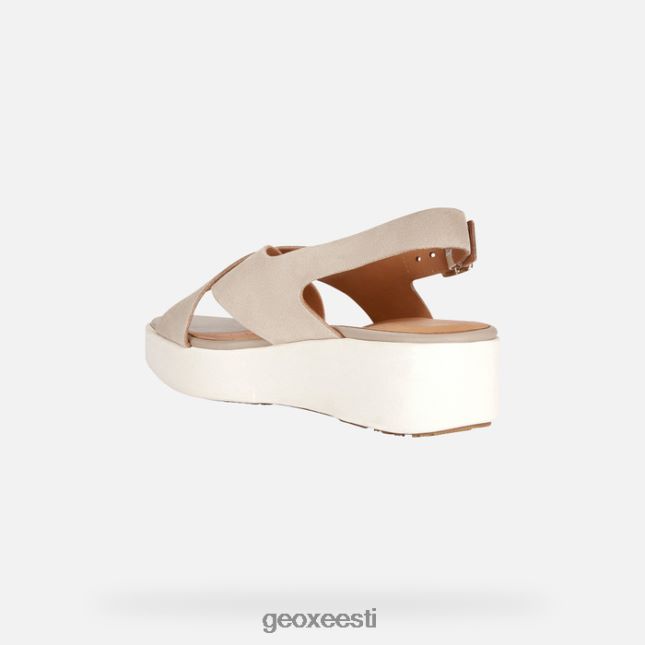 liiv ZZ2TH2130 Geox laudara naine