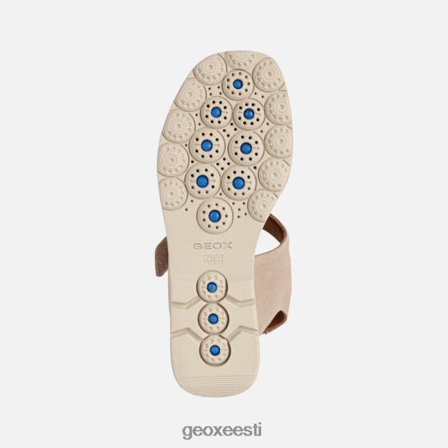 liiv ZZ2TH270 Geox spherica ec6 naine