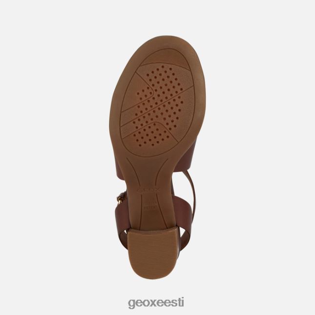 pruun ZZ2TH2137 Geox soss keskmine naine