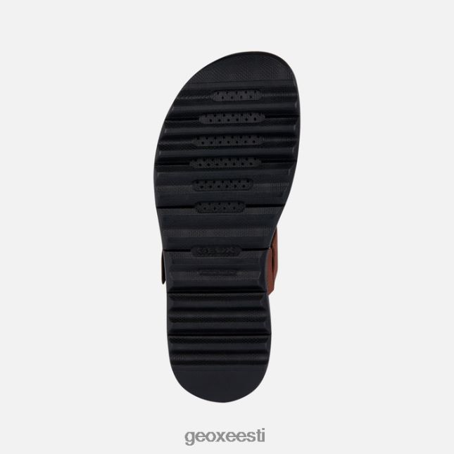 pruun ZZ2TH21668 Geox xand 2.1s naine