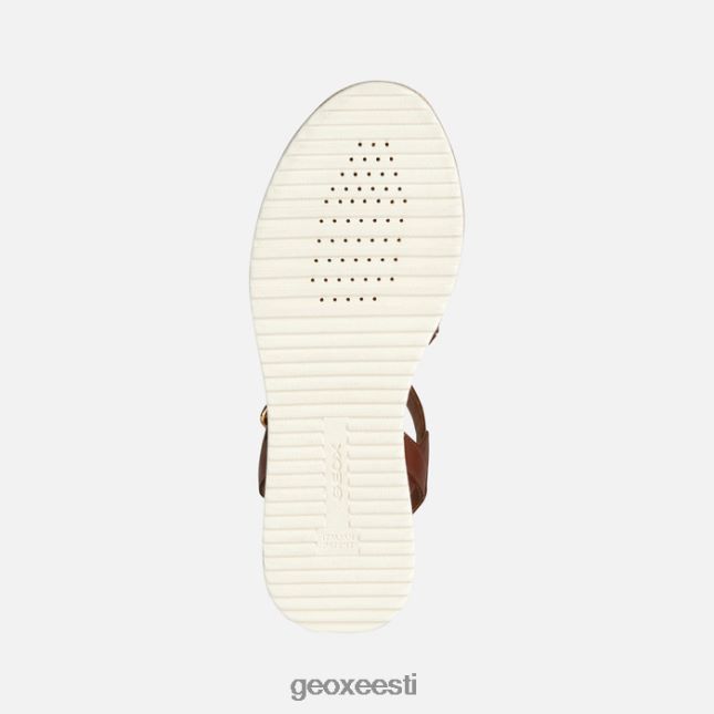 pruun ZZ2TH2168 Geox eolie naine