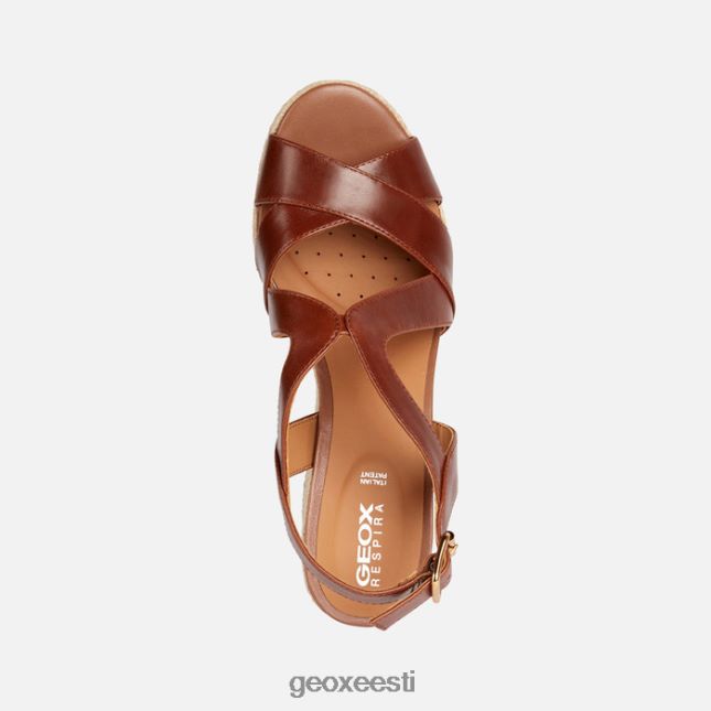 pruun ZZ2TH2203 Geox ponza naine