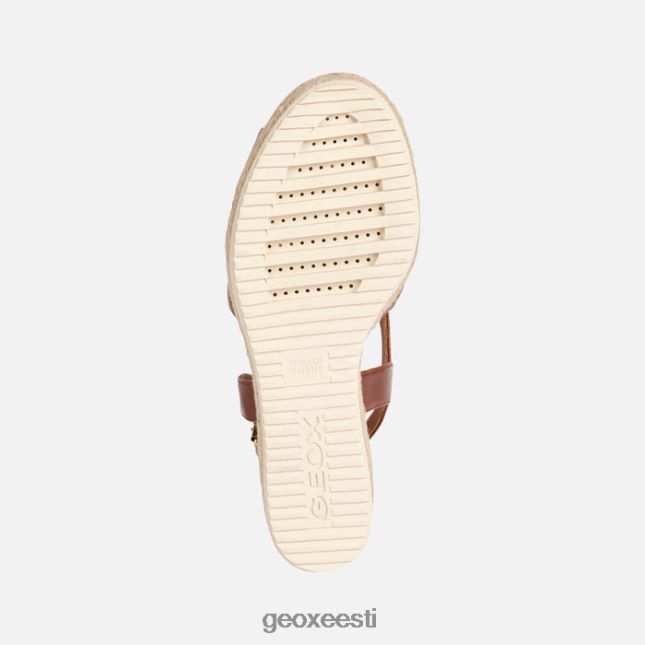 pruun ZZ2TH2203 Geox ponza naine
