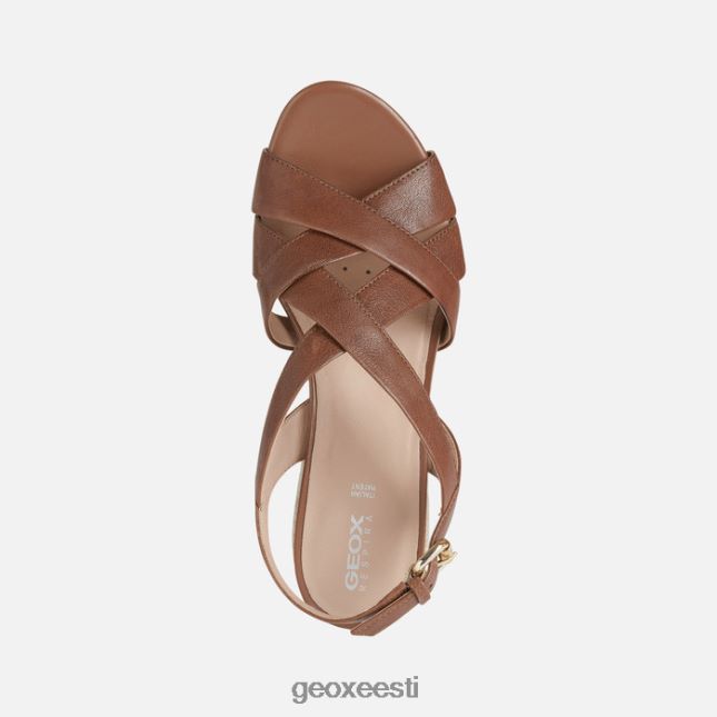 pruun ZZ2TH2453 Geox ischia corda naine