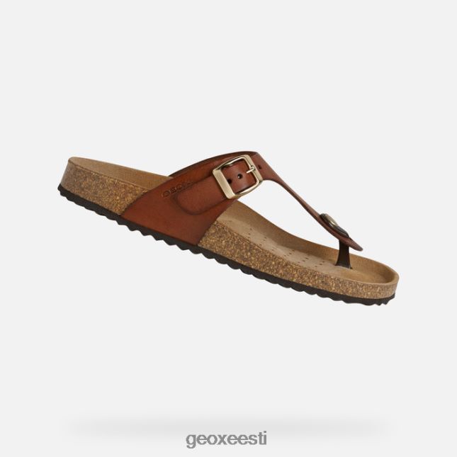 pruun ZZ2TH2494 Geox brionia naine