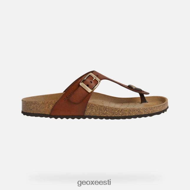 pruun ZZ2TH2494 Geox brionia naine