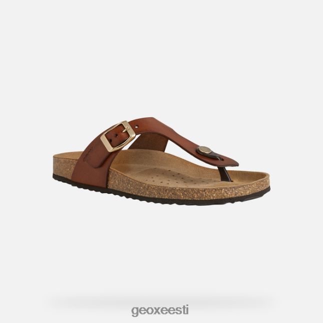 pruun ZZ2TH2494 Geox brionia naine