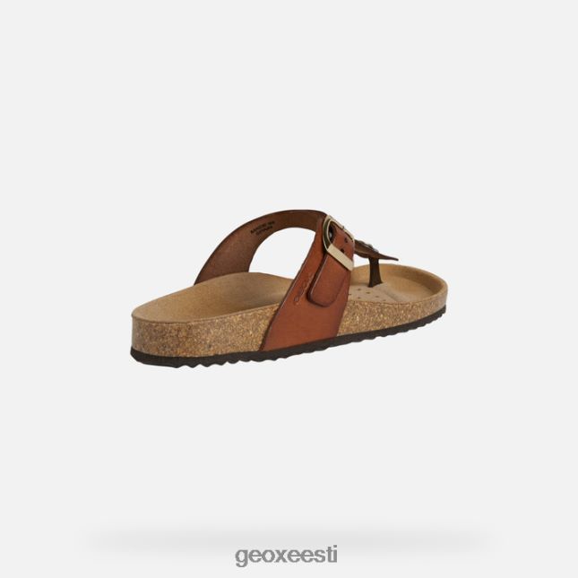 pruun ZZ2TH2494 Geox brionia naine