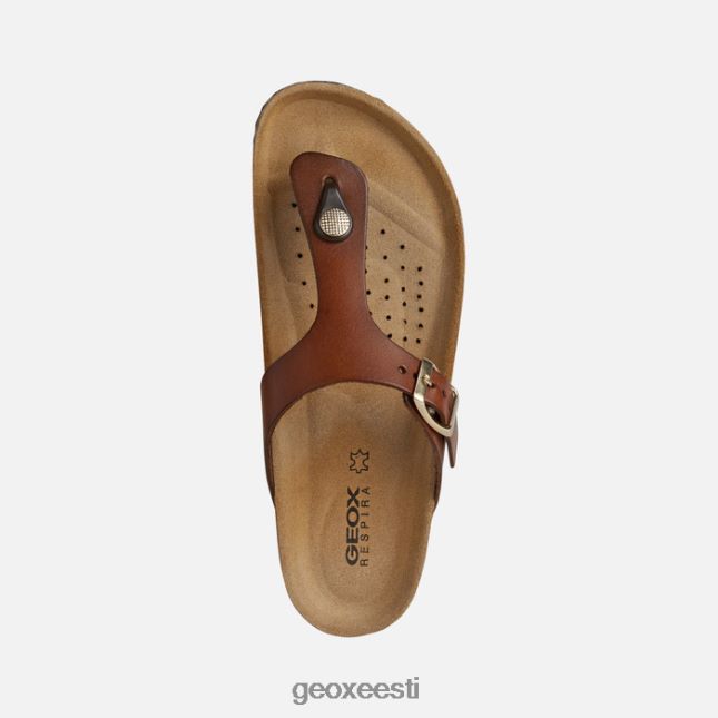 pruun ZZ2TH2494 Geox brionia naine
