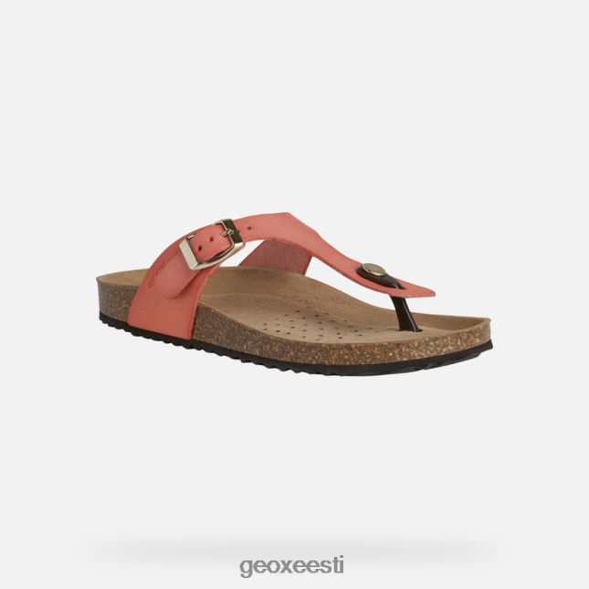 rooste ZZ2TH2496 Geox brionia naine