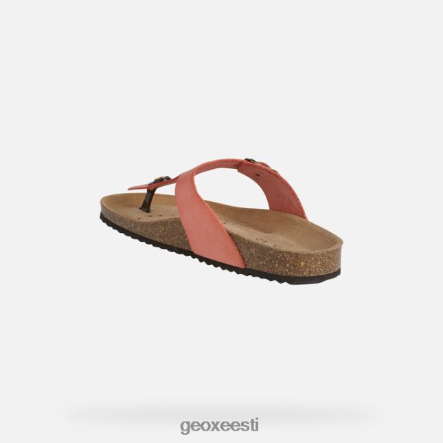 rooste ZZ2TH2496 Geox brionia naine