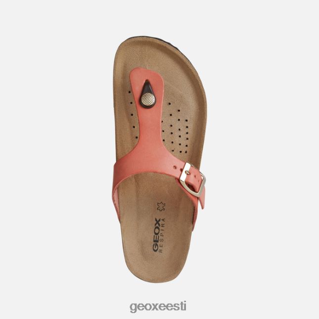 rooste ZZ2TH2496 Geox brionia naine