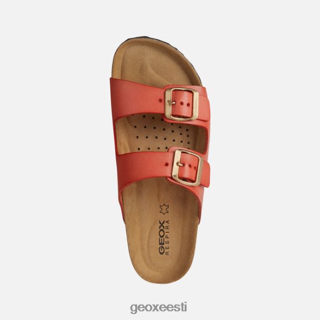 rooste ZZ2TH2564 Geox brionia naine