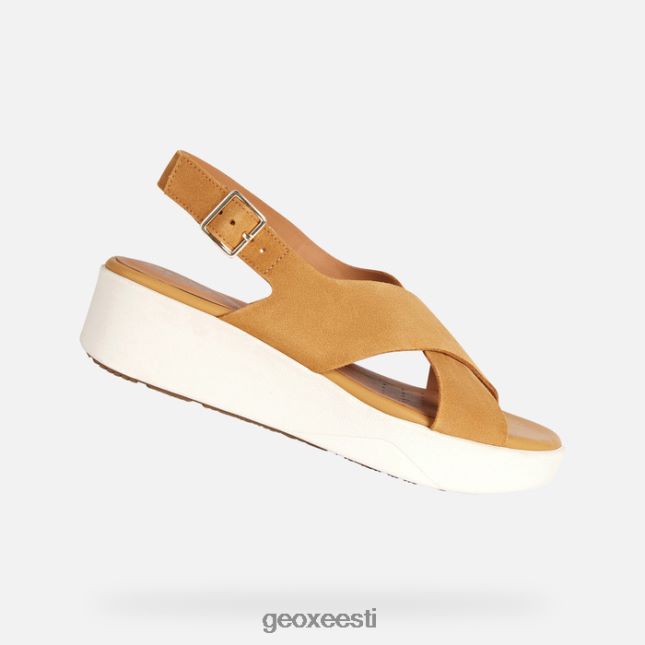 sinep ZZ2TH2128 Geox laudara naine