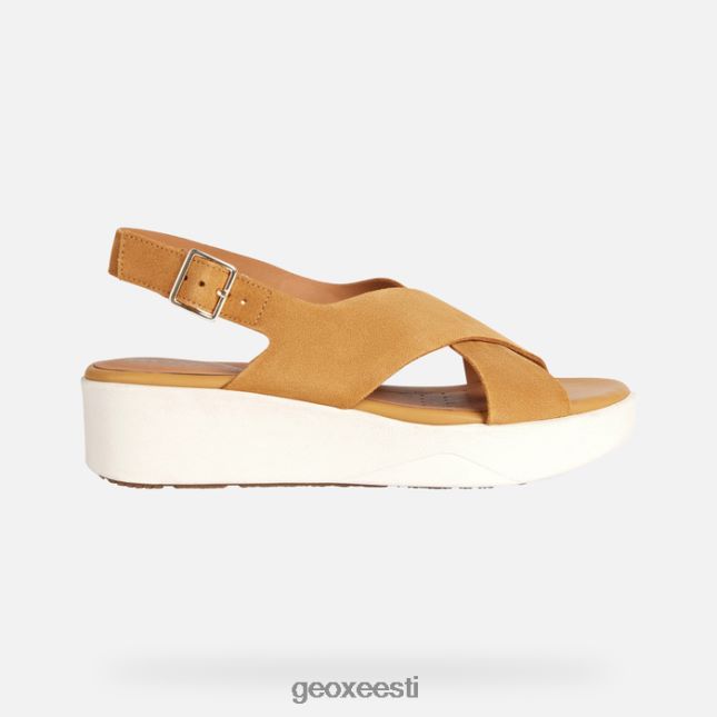 sinep ZZ2TH2128 Geox laudara naine