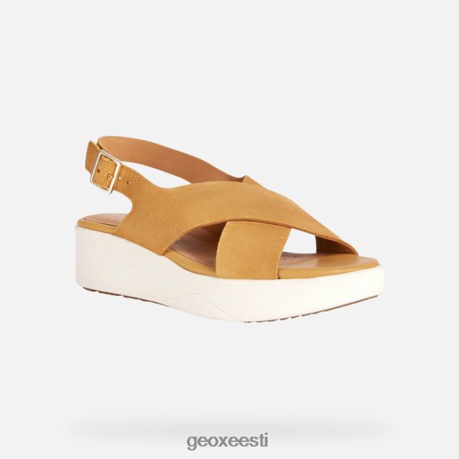 sinep ZZ2TH2128 Geox laudara naine