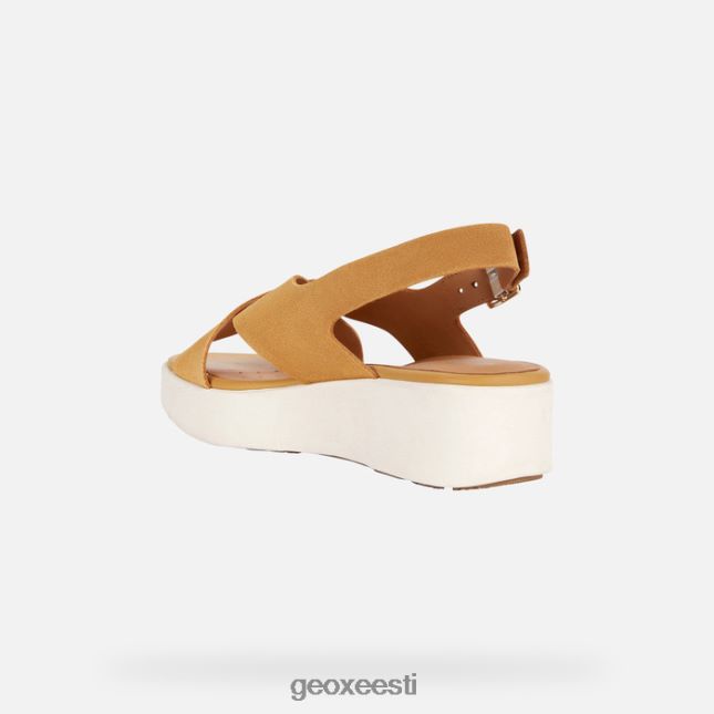 sinep ZZ2TH2128 Geox laudara naine