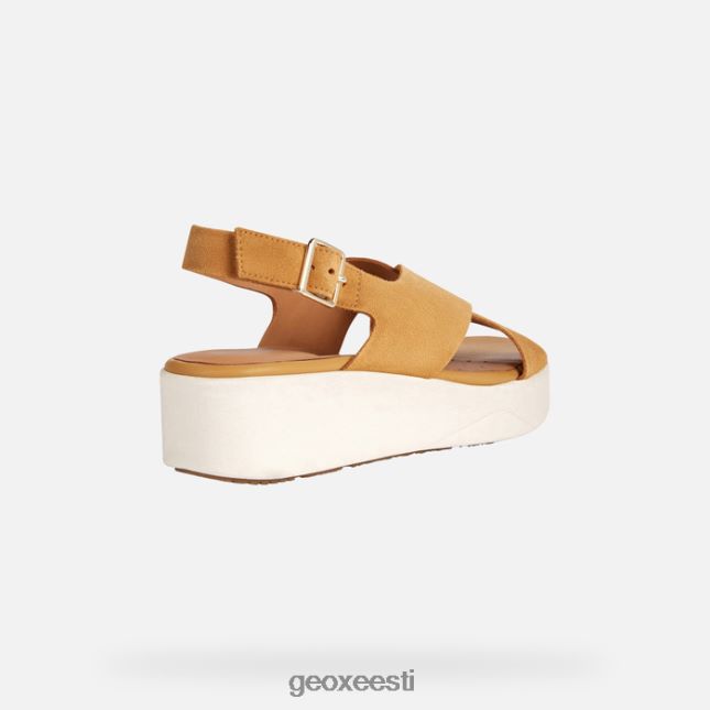 sinep ZZ2TH2128 Geox laudara naine