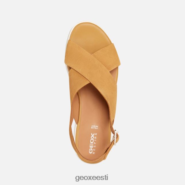 sinep ZZ2TH2128 Geox laudara naine
