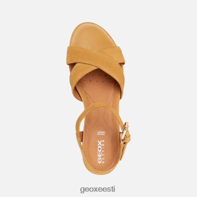 sinep ZZ2TH21677 Geox ischia corda naine