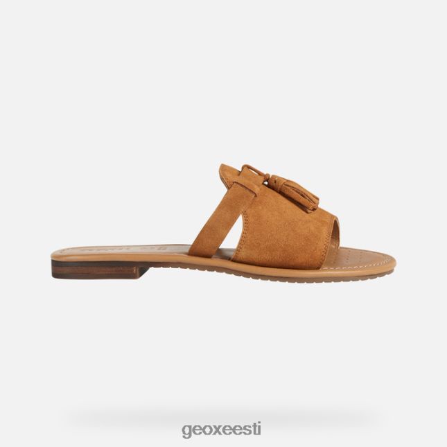 sinep ZZ2TH2228 Geox sozy naine