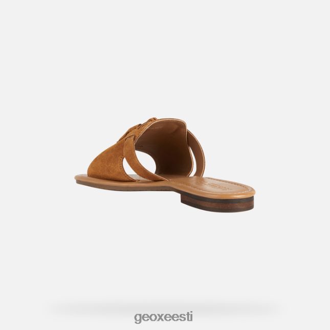 sinep ZZ2TH2228 Geox sozy naine