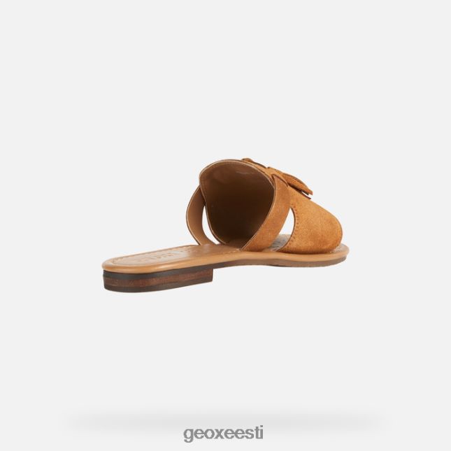 sinep ZZ2TH2228 Geox sozy naine