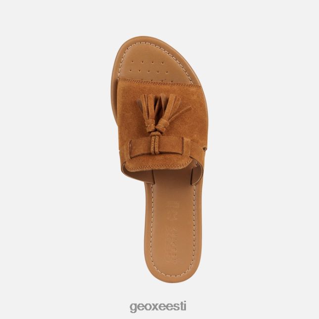 sinep ZZ2TH2228 Geox sozy naine