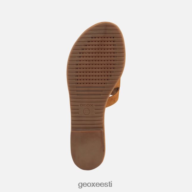 sinep ZZ2TH2228 Geox sozy naine
