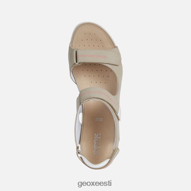 taupe ZZ2TH256 Geox sandaalvega naine