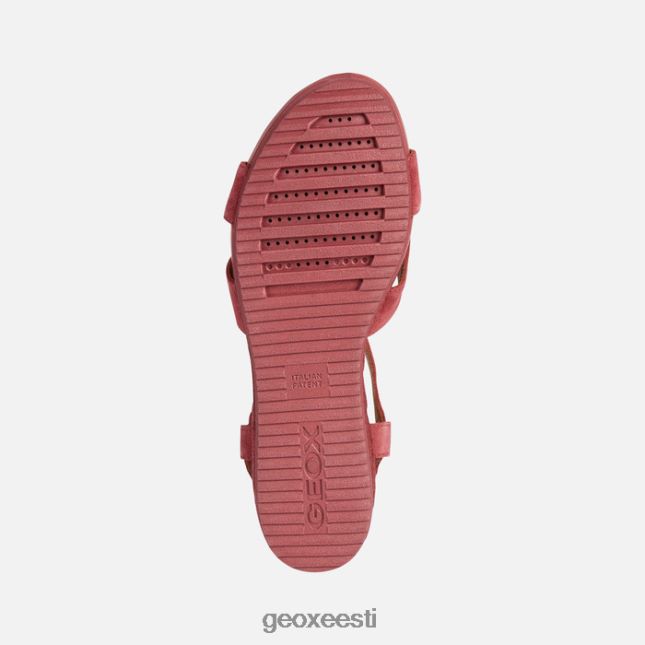 tume fuksia ZZ2TH21679 Geox ischia corda naine