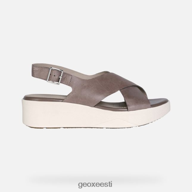 tumebeež ZZ2TH2352 Geox laudara naine