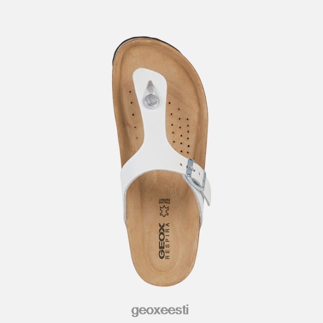 valge ZZ2TH2610 Geox brionia naine