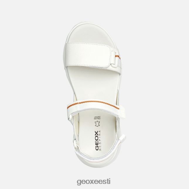 valge ZZ2TH276 Geox sorapis haarde naine