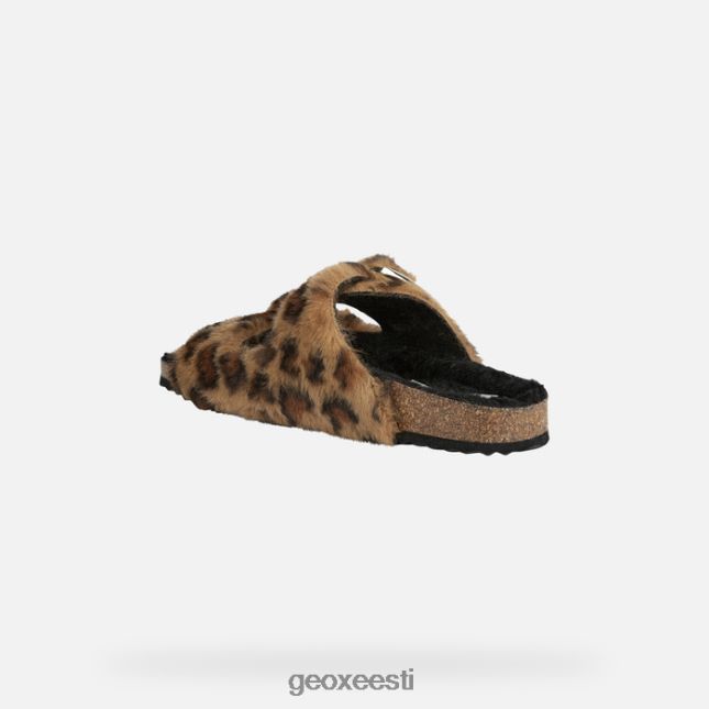 kaamel ZZ2TH269 Geox brionia naine