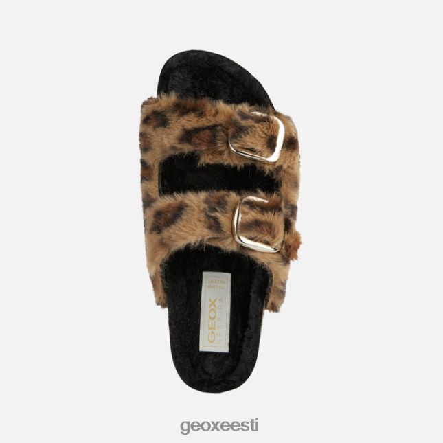 kaamel ZZ2TH269 Geox brionia naine