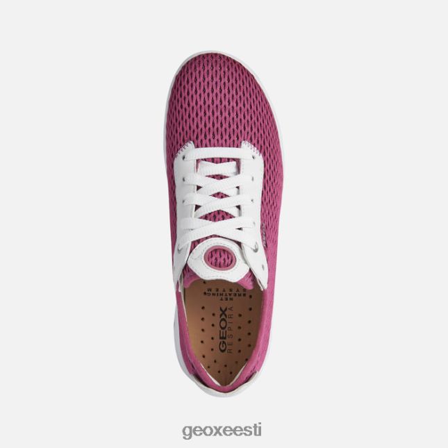 fuksia/valge ZZ2TH2335 Geox aerantis naine