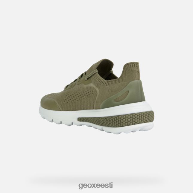 pistaatsia ZZ2TH243 Geox spherica actif naine