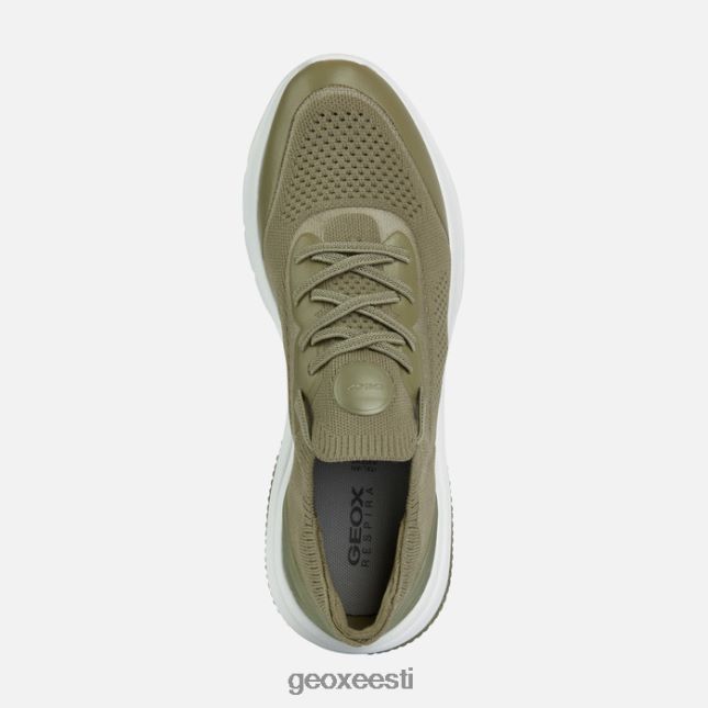 pistaatsia ZZ2TH243 Geox spherica actif naine