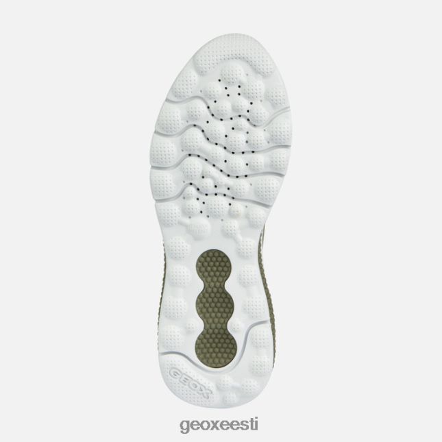 pistaatsia ZZ2TH243 Geox spherica actif naine