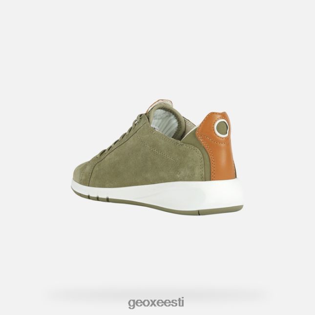 pistaatsia/kaamel ZZ2TH2103 Geox aerantis naine