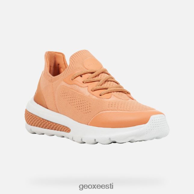 virsik ZZ2TH242 Geox spherica actif naine