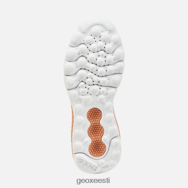 virsik ZZ2TH242 Geox spherica actif naine