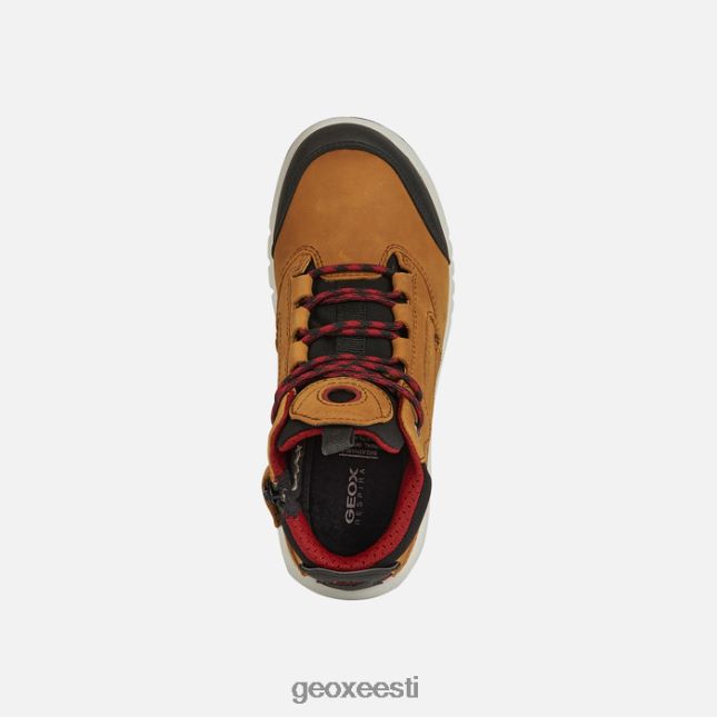 helepruun/tumepunane ZZ2TH21333 Geox aeranter abx poiss