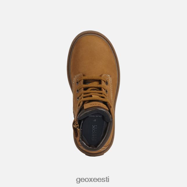 kollane/pruun ZZ2TH21101 Geox shaylax juunior