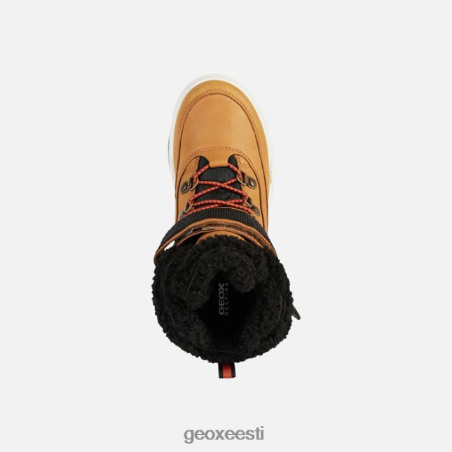 tumekollane/must ZZ2TH21113 Geox bunshee pg abx juunior