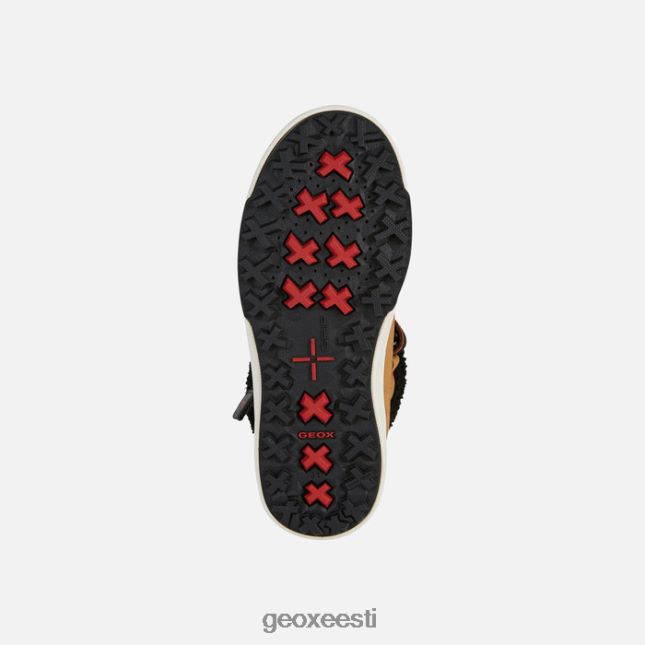 tumekollane/must ZZ2TH21113 Geox bunshee pg abx juunior