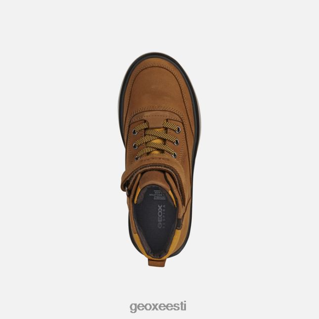 tumekollane/pruun ZZ2TH21989 Geox riddock poiss