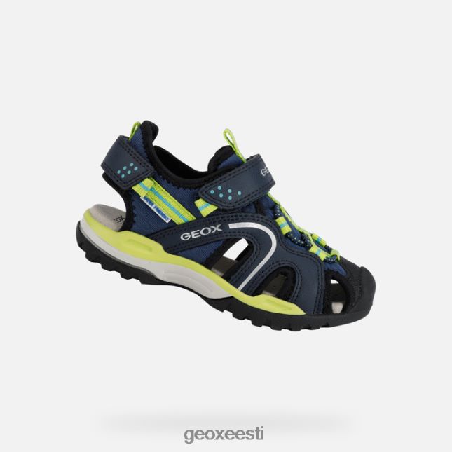 dk sinine/laim ZZ2TH21278 Geox borealis poiss