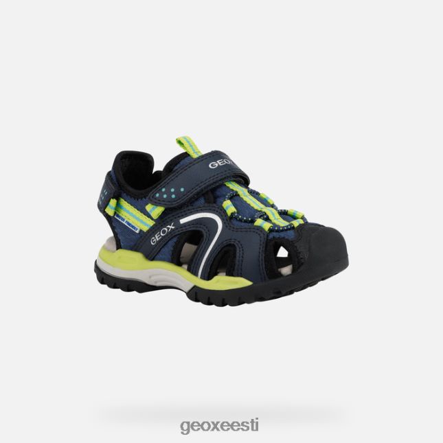 dk sinine/laim ZZ2TH21278 Geox borealis poiss